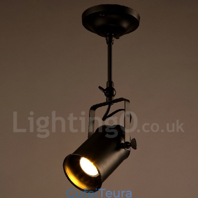 Rustic Lodge 1 Light Spot Lights