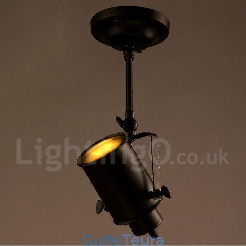 Rustic Lodge 1 Light Spot Lights