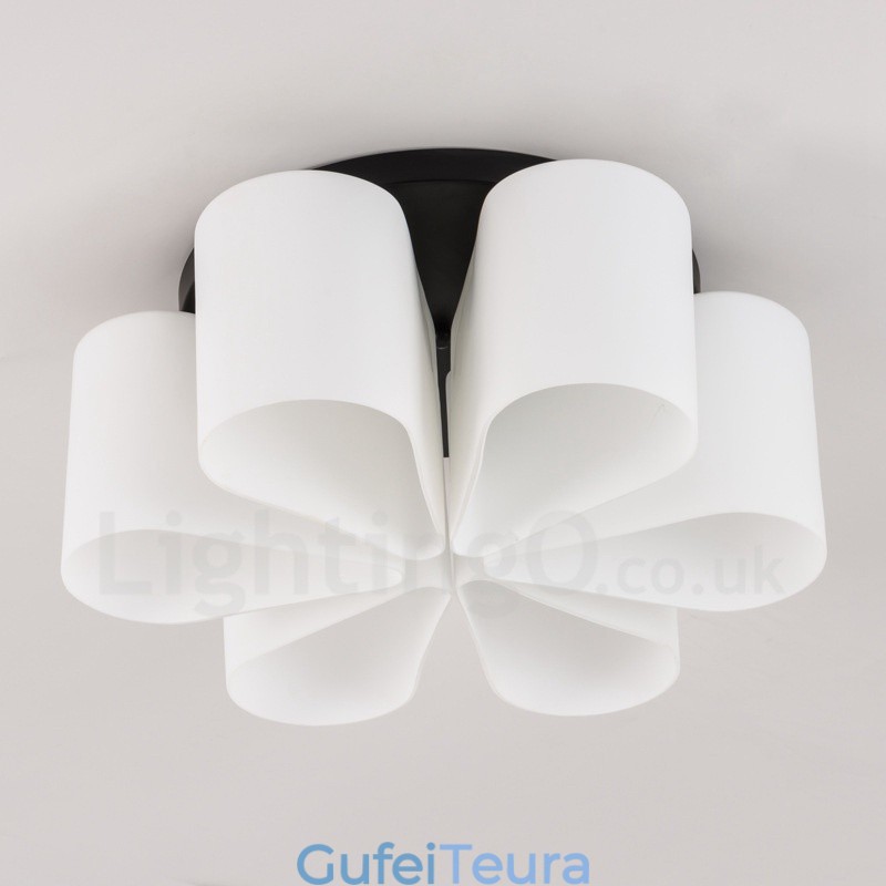 6 אור כפרי לודג' משולב אור פלאש הר