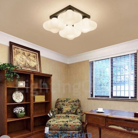 4 אור כפרי לודג' משולב אור פלאש הר