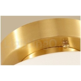 אור תקרה רטרו וינטג' עם צל