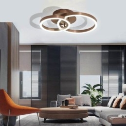 Modern Simple Flush Mount Creative Ceiling Light חום תאורת אור