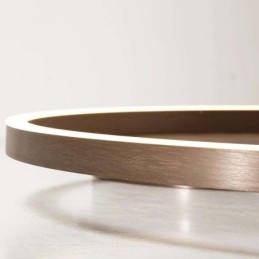 Modern Simple Flush Mount Creative Ceiling Light חום תאורת אור