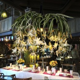 מנורת תליון ביתית בסגנון תעשייתי נברשת מעוטרת צמח מלאכותי