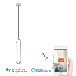 גוף תאורה דקורטיבי אקרילי תליון סגלגל