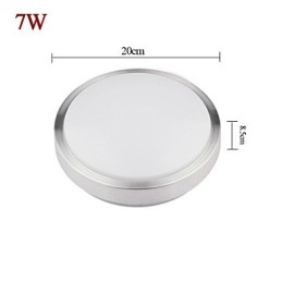 פלאש הר אורות 7W אור עגול פשוט מודרני קוטר 20CM
