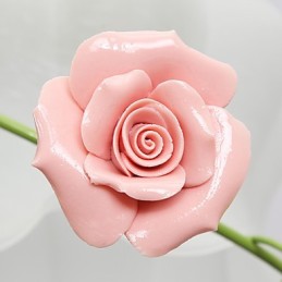 יום האהבה גן הוורדים פרחים וצמחים סופגים אור כיפה