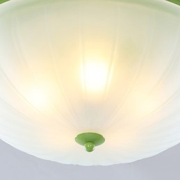 פרחים וצמחים לגן ליום האהבה סופגים אור כיפה