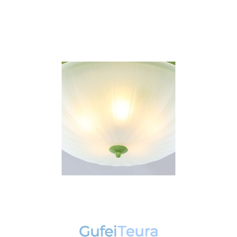 פרחים וצמחים לגן ליום האהבה סופגים אור כיפה