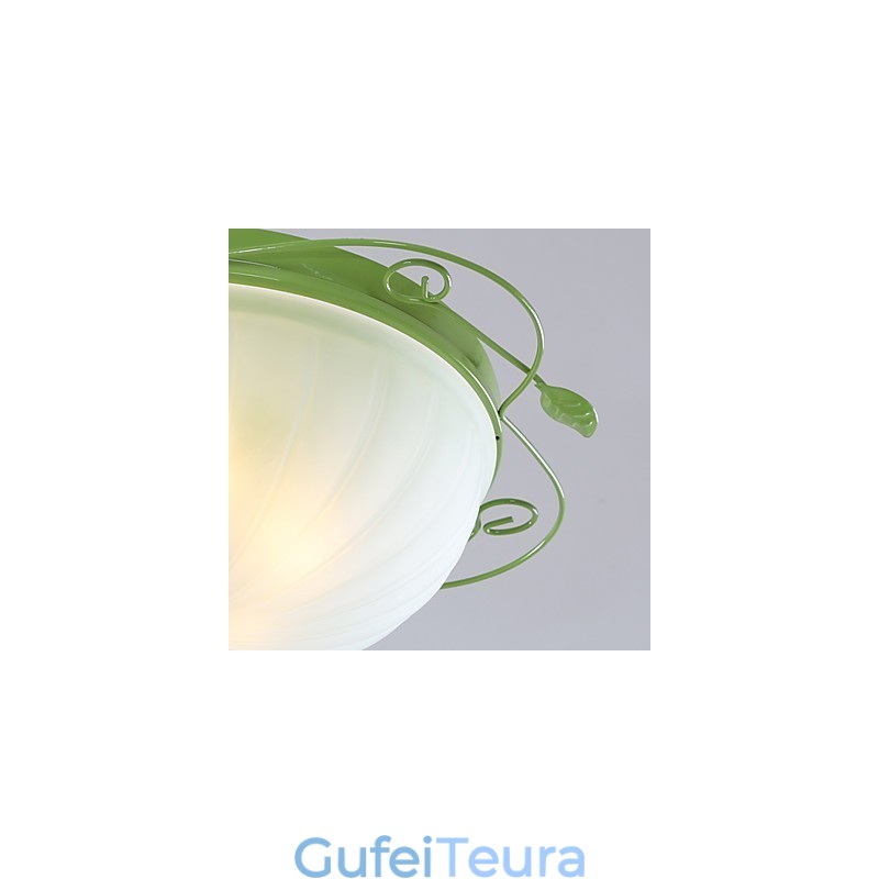 פרחים וצמחים לגן ליום האהבה סופגים אור כיפה