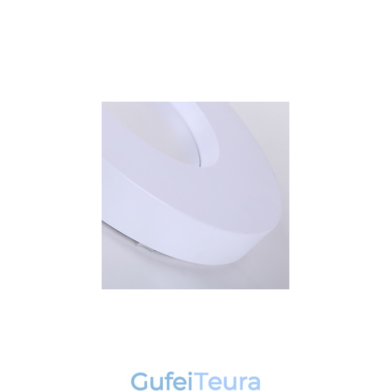 Flush Mount Modern Contemporary