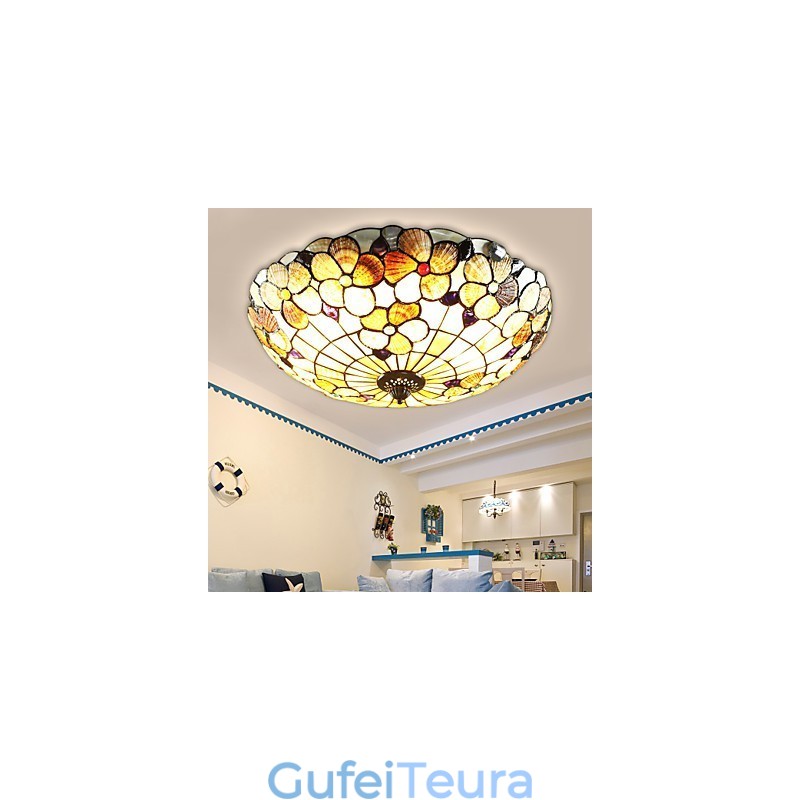 צדפי הים התיכון סופגים ארובה כפרית אור כיפת