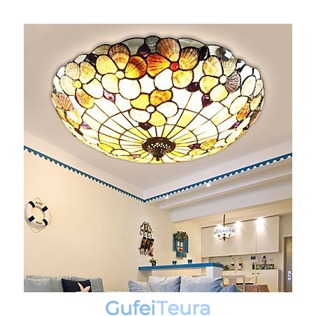 צדפי הים התיכון סופגים ארובה כפרית אור כיפת