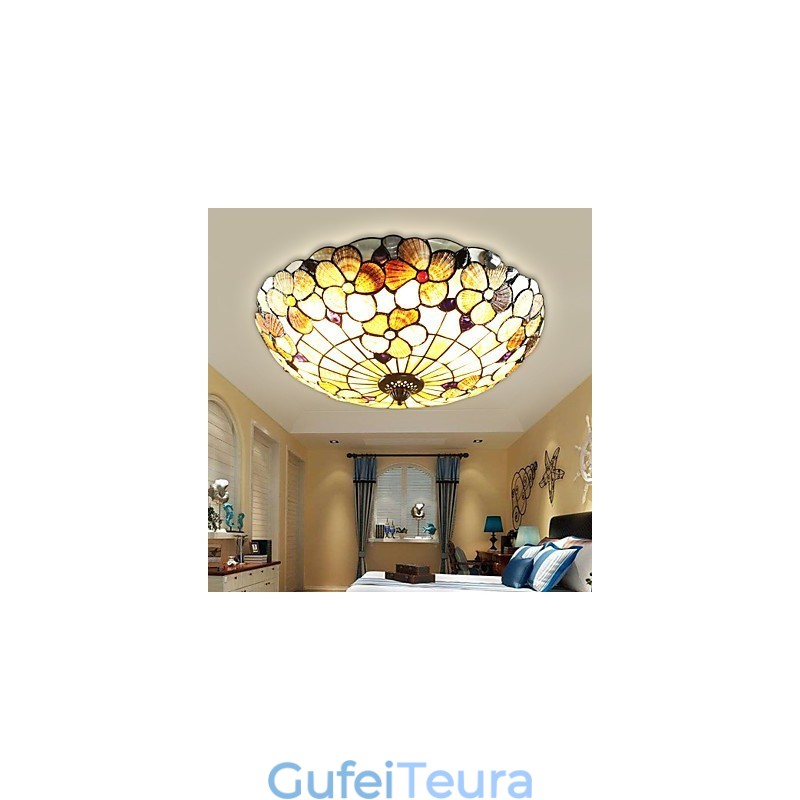 צדפי הים התיכון סופגים ארובה כפרית אור כיפת