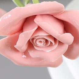 יום האהבה גן הוורדים פרחים וצמחים סופגים אור כיפה