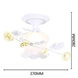 יום האהבה גן הוורדים פרחים וצמחים סופגים אור כיפה