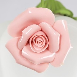 פרחים וצמחים לגן ליום האהבה סופגים אור כיפה