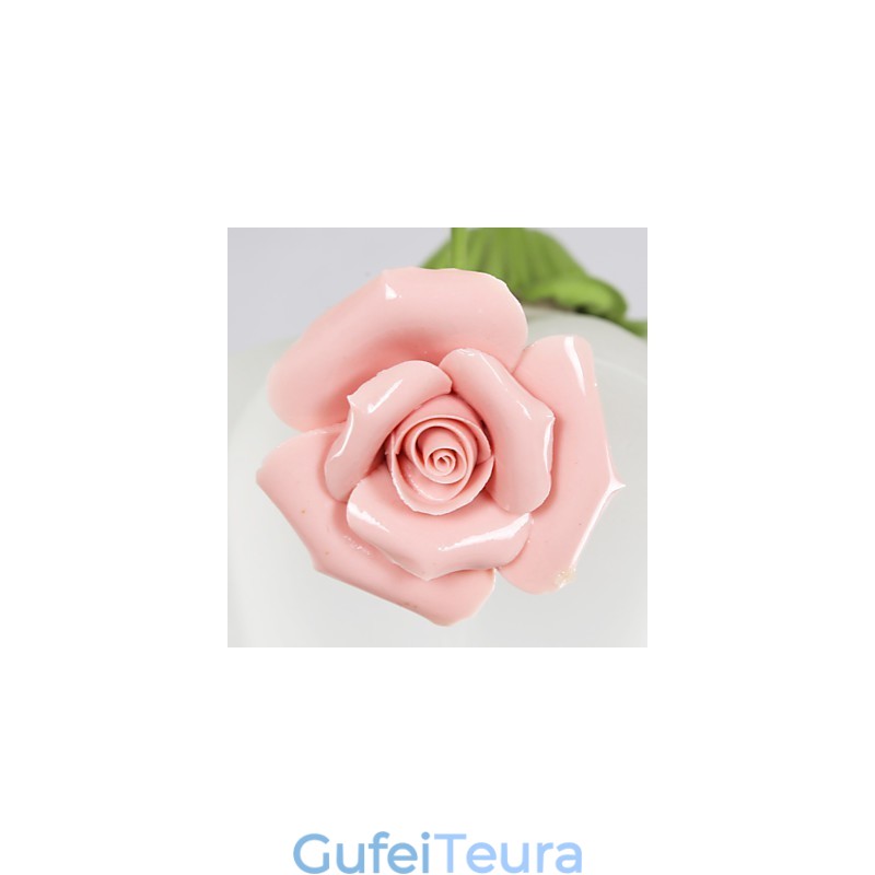 פרחים וצמחים לגן ליום האהבה סופגים אור כיפה