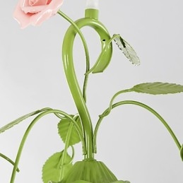 פרחים וצמחים לגן ליום האהבה סופגים אור כיפה