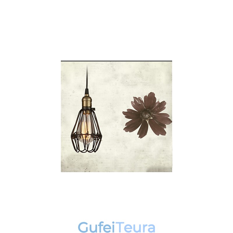 אורות תליון וינטג' בסגנון כפרי אמריקאי משחזר דרכים עתיקות ברזל יצוק כלוב קטן droplight