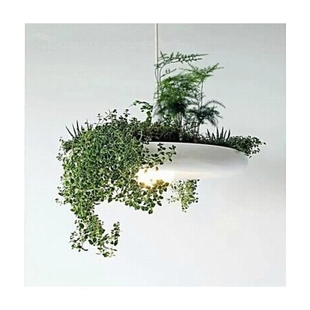 תאורת תליון מתכת מודרנית עכשווית אחרים