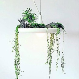 תאורת תליון מתכת מודרנית עכשווית אחרים