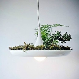 אלומיניום Droplight Nordic Creative חוזה שמיים מנורות גן ופנסים מדליקים ללא אדמה צמח
