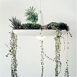 אלומיניום Droplight Nordic Creative חוזה שמיים מנורות גן ופנסים מדליקים ללא אדמה צמח
